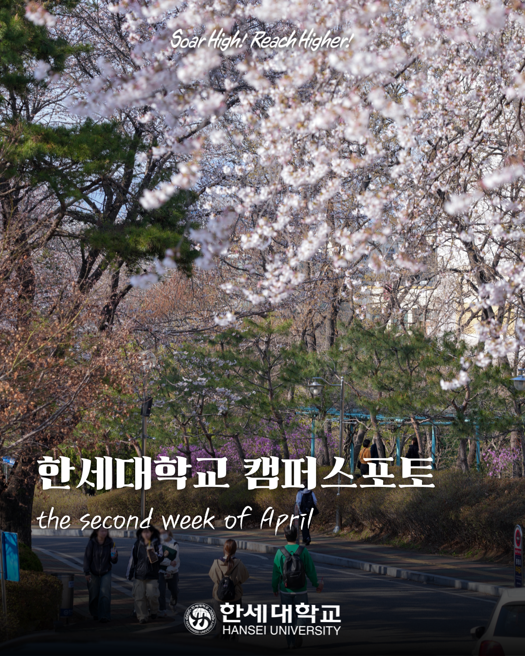 한세대학교 캠퍼스포토 : 2025년 4월 둘째주 대표이미지