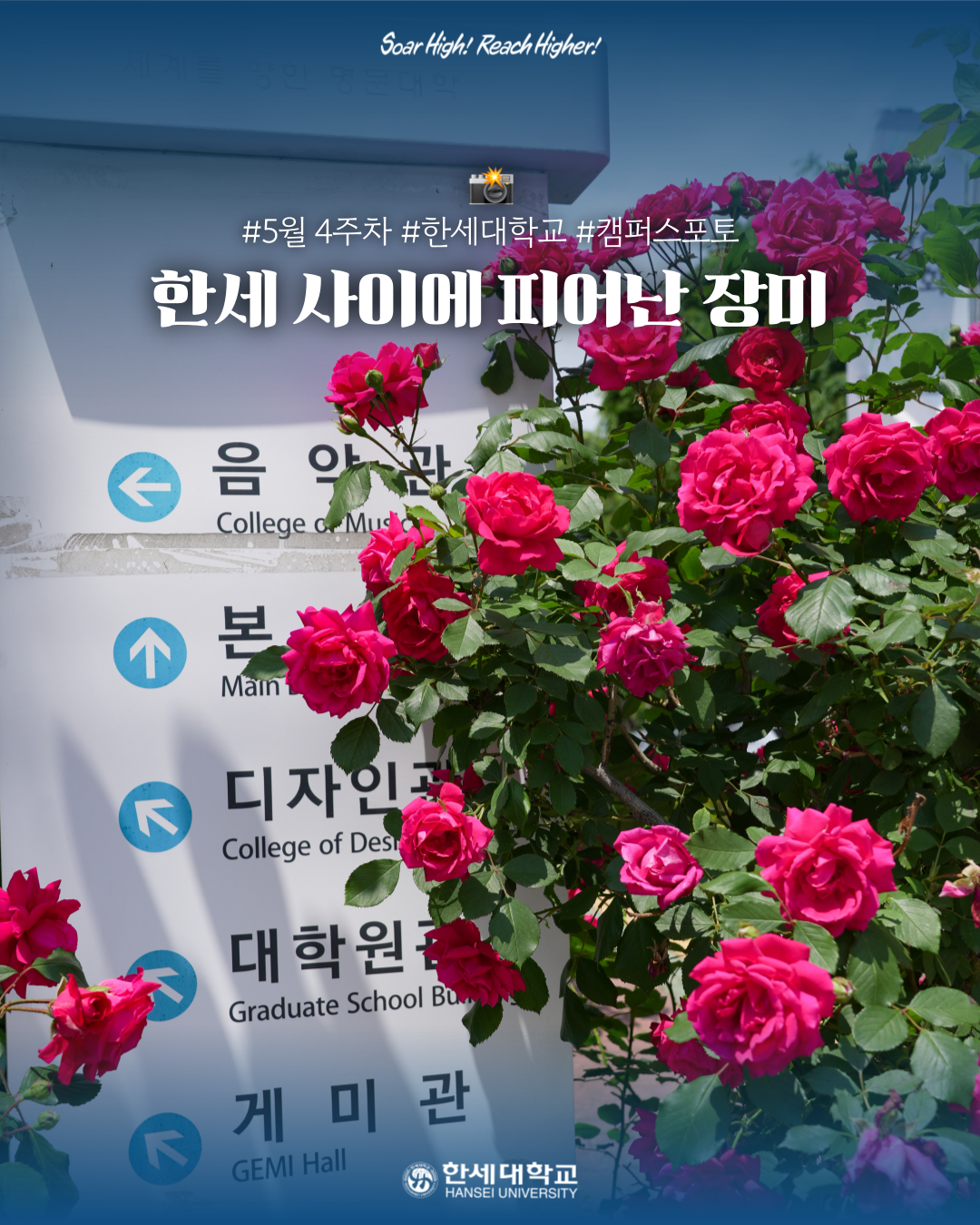 한세대학교 캠퍼스포토 : 2025년 5월 4주차 대표이미지