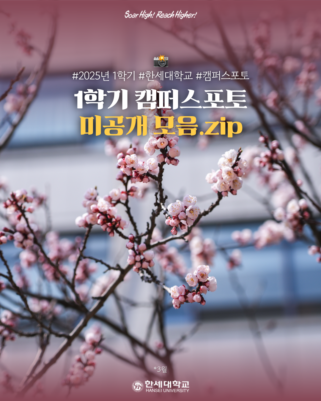 한세대학교 캠퍼스포토 : 1학기 미공개 모음.zip 대표이미지