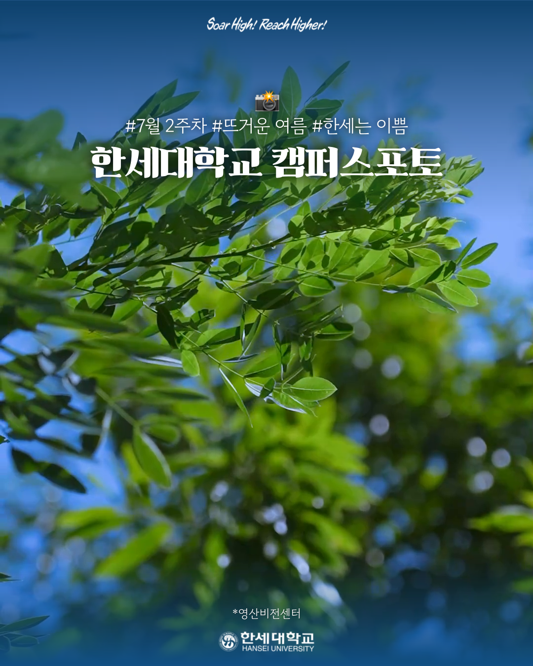 🌿 7월 2주차, 여름 한가운데에서 만난 한세대학교의 풍경 대표이미지