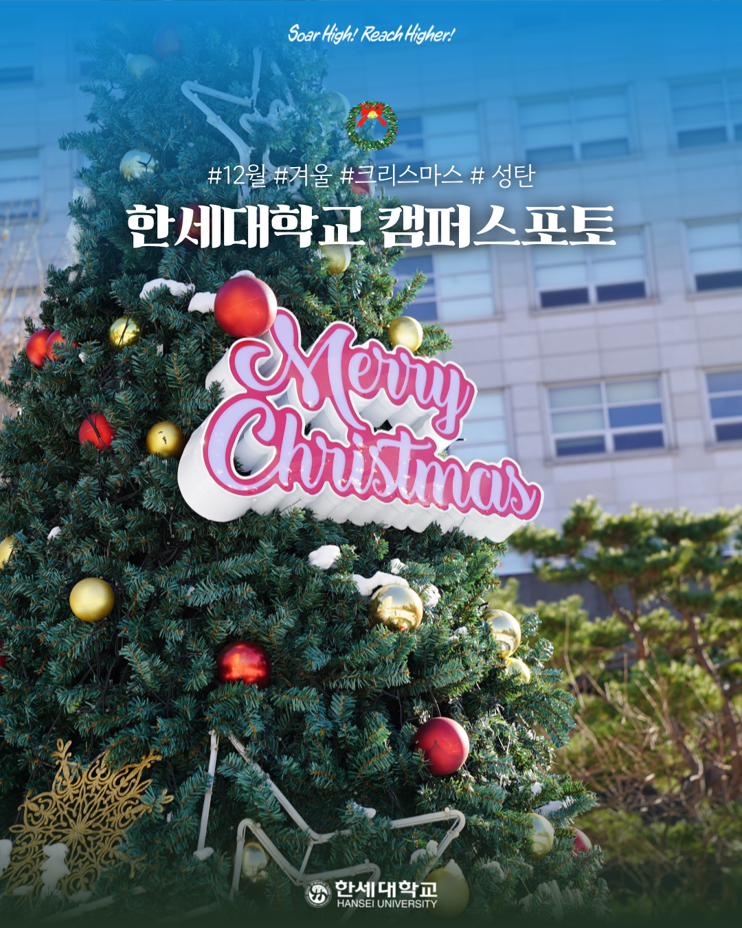 ❄️🎄 한세대학교 캠퍼스 포토 | 12월 4주차 🎄❄️ 대표이미지